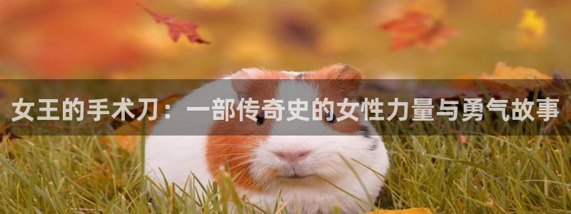 玫瑰庄园漫画免费下拉式漫蛙